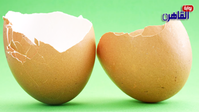 بوابة القاهرة توضح فوائد قشر البيض للبشرة