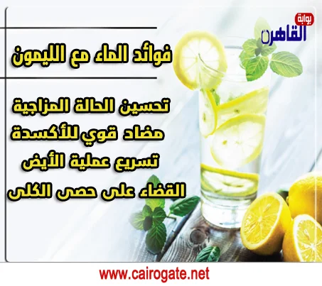 فوائد شرب الماء مع الليمون شرب الماء مع الليمون طوال اليوم