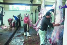 مجازر المنوفية في قفص الإتهام جشع الجزارين ولحوم مضروبة