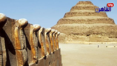 سقارة منطقة عالمية عائمة على بحر من الآثار