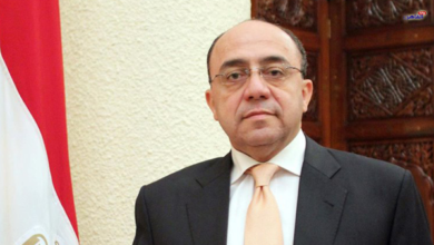 سعيد هندام الاستثمار التشيكي بمصر خلال الفترة القادمة