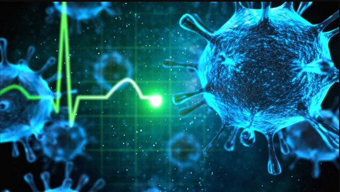 ما هو فيروس هانتا-اعراض فيروس هانتا