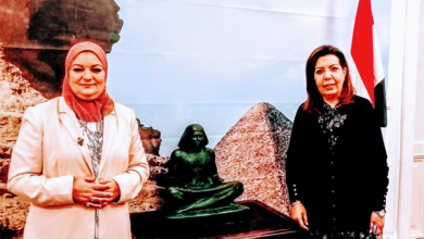 الدكتورة علا عبد الجواد مستشار مصر الثقافي بفيينا