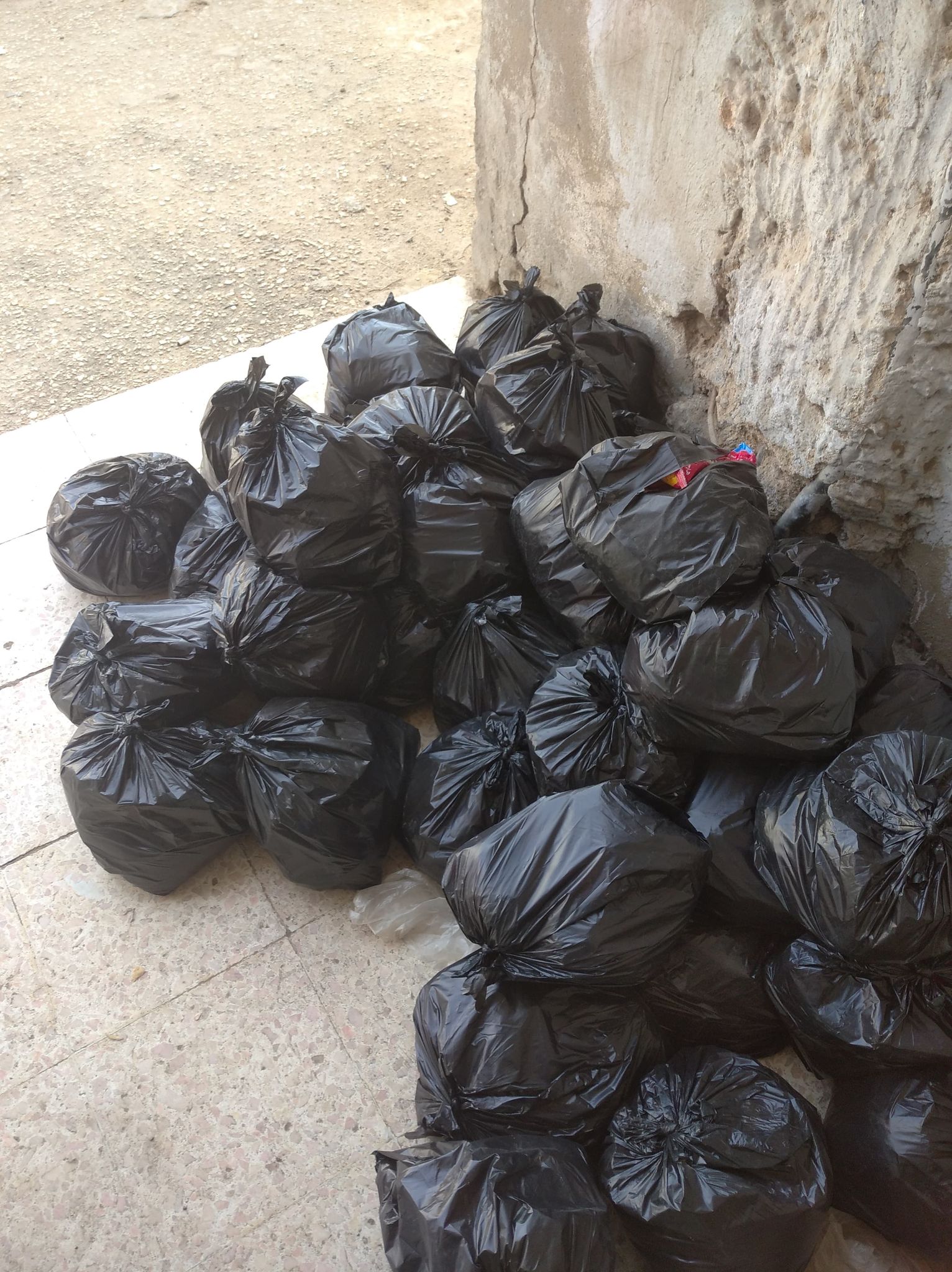 جمعية المرأة المعيلة توزع شنط رمضان على غير القادرين بالمحافظات