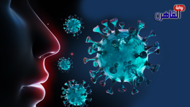 الفطر الأسود