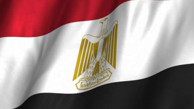 مصر والتشيك يعترفان بتبادل اللقاحات وشهادات التطعيم