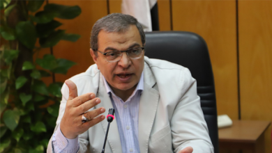 وزير القوى العاملة يعلن عن 3000 فرصة عمل بالقاهرة