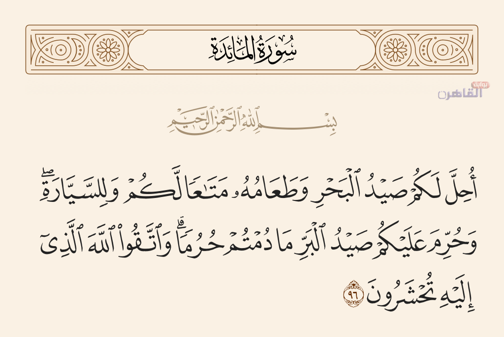 حرم عليكم صيد البر ما دمتم حرما