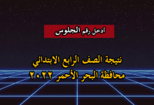 نتيجة الصف الرابع الابتدائي محافظة البحر الأحمر 2022 الآن برقم الجلوس