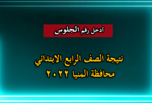 نتيجة الصف الرابع الابتدائي محافظة المنيا 2022 الآن برقم الجلوس