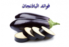 فوائد الباذنجان المشوي يقي من أمراض كثيرة وصديق للرجال والنساء