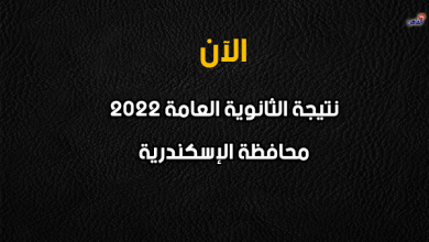 نتيجة الصف الثالث الثانوي 2022 بالإسكندرية-نتيجة الثانوية العامة 2022 محافظة الإسكندرية