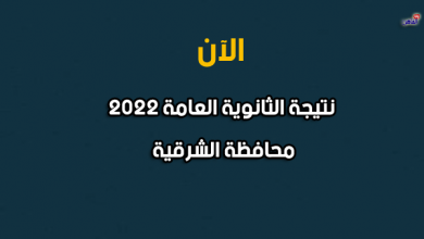 نتيجة الصف الثالث الثانوي 2022 بالشرقية-نتيجة الثانوية العامة 2022 محافظة الشرقية