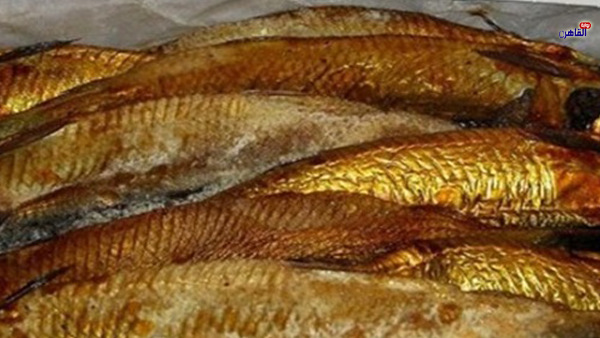 ضبط 2 طن أسماك مدخنة غير صالحة للاستهلاك الآدمي بثلاجة بالقاهرة