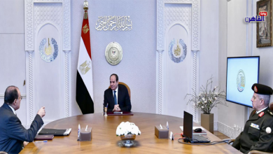 الرئيس السيسي يتابع تنفيذ تطوير الأحياء بمحافظتي القاهرة والإسكندرية