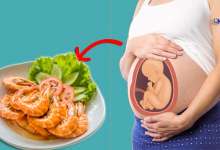 هل الروبيان مضر للحامل-فوائد الجمبري للحامل
