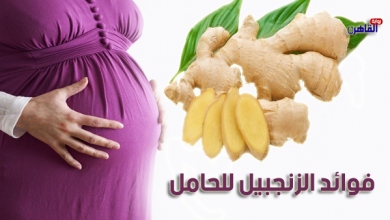 فوائد الزنجبيل للحامل-فائدة الزنجبيل-هل الزنجبيل مصر للحامل