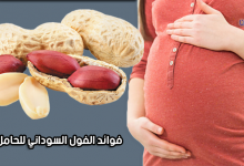 فوائد الفول السوداني للحامل-أضرار الفول السوداني للحامل