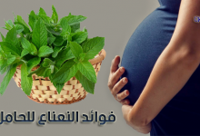 هل النعناع مضر للحامل-فوائد النعناع للحامل