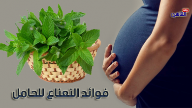 هل النعناع مضر للحامل-فوائد النعناع للحامل