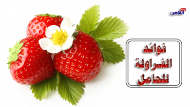 فوائد الفراولة للحامل-أضرار الفراولة للحامل-أكل الفراولة للحامل