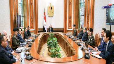 الرئيس عبد الفتاح السيسي يتابع استراتيجية تعمير سيناء