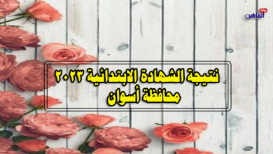 نتيجة الصف السادس الابتدائي 2023 بأسوان-نتيجة الشهادة الابتدائية 2023 محافظة أسوان
