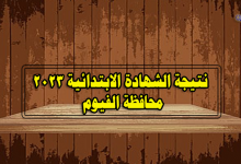 نتيجة الصف السادس الابتدائي 2023 بالفيوم-نتيجة الشهادة الابتدائية 2023 محافظة الفيوم