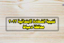 نتيجة الصف السادس الابتدائي 2023 بدمياط-نتيجة الشهادة الابتدائية 2023 محافظة دمياط