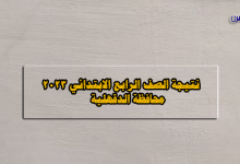 نتيجة الصف الرابع الابتدائي 2023 محافظة الدقهلية-نتيجة سنة رابعة ابتدائي 2023 بالدقهلية