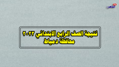 نتيجة سنة رابعة ابتدائي 2023 بدمياط-نتيجة الصف الرابع الابتدائي 2023 محافظة دمياط