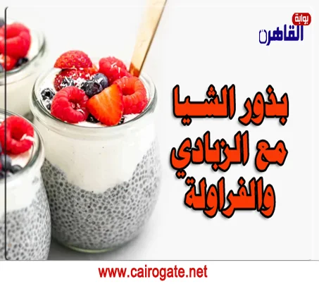 فوائد بذور الشيا مع الزبادي والماء للرجال والنساء فوائد بذور الشيا مع الزبادي