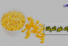 فوائد دقيق الشوفان-أضرار دقيق الشوفان-دقيق الشوفان-طحين الشوفان