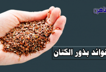 ما هي فوائد بذور الكتان للنساء-ما هي فوائد بذور الكتان للرجال-أضرار بذور الكتان للنساء-ما هي بذور الكتان-بذور الكتان للتنحيف-بذور الكتان للتخسيس