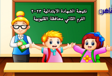 نتيجة الشهادة الابتدائية 2023 الترم الثاني محافظة القليوبية-نتيجة الصف السادس الابتدائي 2023 الترم الثاني بالقليوبية