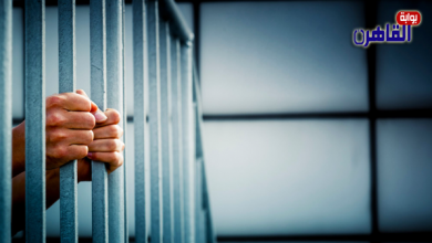 حبس 6 متهمين بسرقة مخزن مدرسة في السيدة زينب-سجن