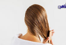علاج الشعر الدهني المتساقط-أسباب الشعر الدهني-الشعر الدهني