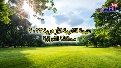نتيجة الصف الثالث الثانوي الأزهري 2023 بالشرقية-نتيجة الثانوية الأزهرية 2023 محافظة الشرقية