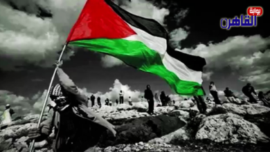 مصر تعلن حالة الحداد العام لمدة 3 أيام على أرواح شهداء غزة
