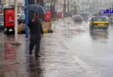 مواعيد سقوط الأمطار في الإسكندرية
