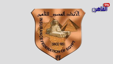 الاتحاد المصري للتأمين يستعرض ثمار ورشة تأمين أخطار البترول والطاقة