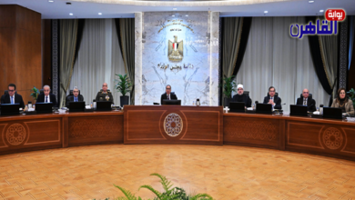 مجلس الوزراء يوافق على إنشاء منطقة حرة عامة لمدينة دمياط للأثاث