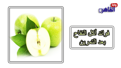 فوائد أكل التفاح بعد التمرين