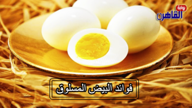 ما هي فوائد البيض المسلوق للرجال