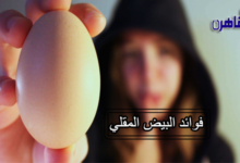 ما هي فوائد البيض المقلي-السعرات الحرارية في البيضة المقلية-نسبة البروتين في البيضة المقلية-القيمة الغذائية للبيض المقلي