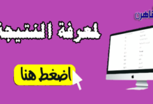 نتيجة الشهادة الابتدائية 2024 محافظة البحر الأحمر