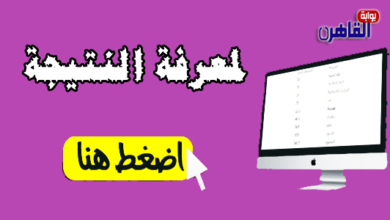 نتيجة الشهادة الابتدائية 2024 محافظة البحر الأحمر