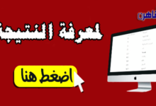 نتيجة الشهادة الابتدائية 2024 محافظة الشرقية