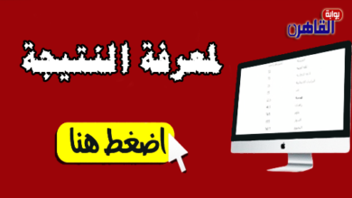 نتيجة الشهادة الابتدائية 2024 محافظة القاهرة
