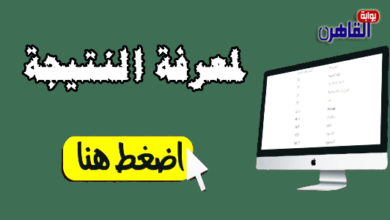 نتيجة الشهادة الابتدائية 2024 محافظة بني سويف